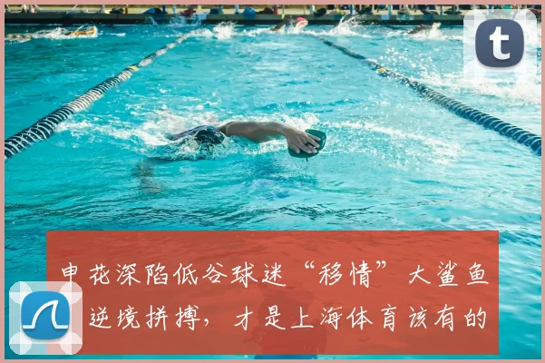申花深陷低谷球迷“移情”大鲨鱼：逆境拼搏，才是上海体育该有的模样