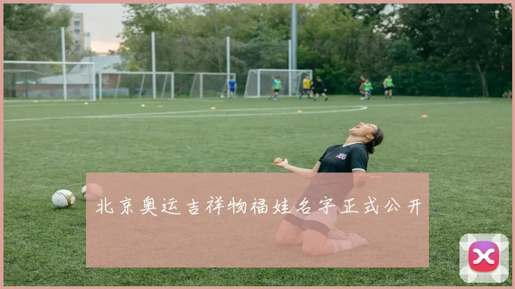 北京奥运吉祥物福娃名字正式公开